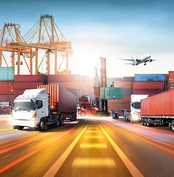 Courier services for international delivery